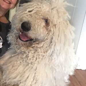 Meet your Posher, Lisa